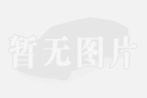 ?德國寶沃BX7 深港澳國際車展 傲世登場